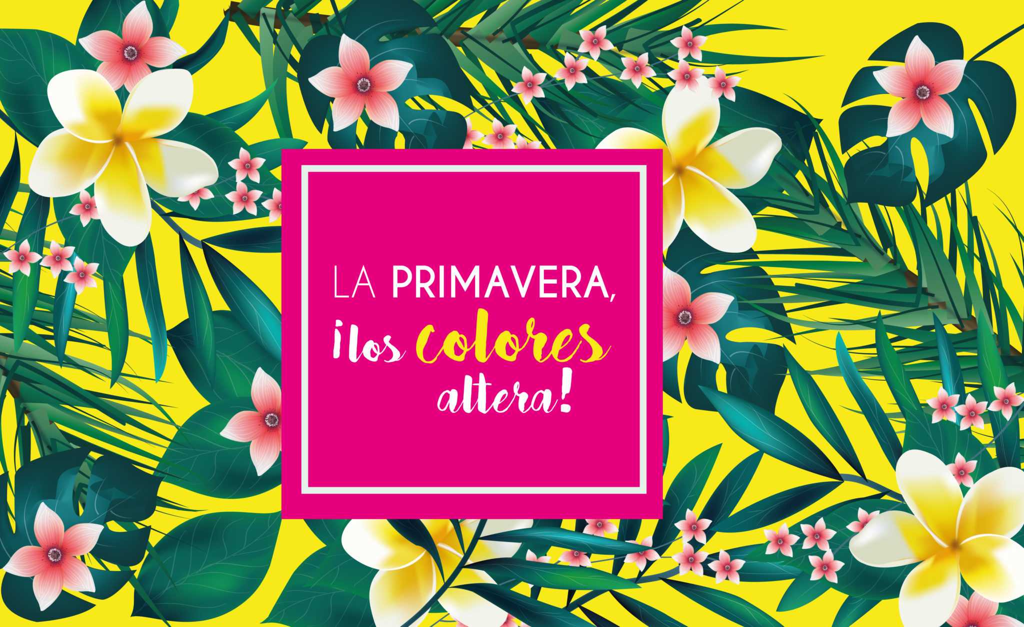 La Primavera, ¡Los colores altera!